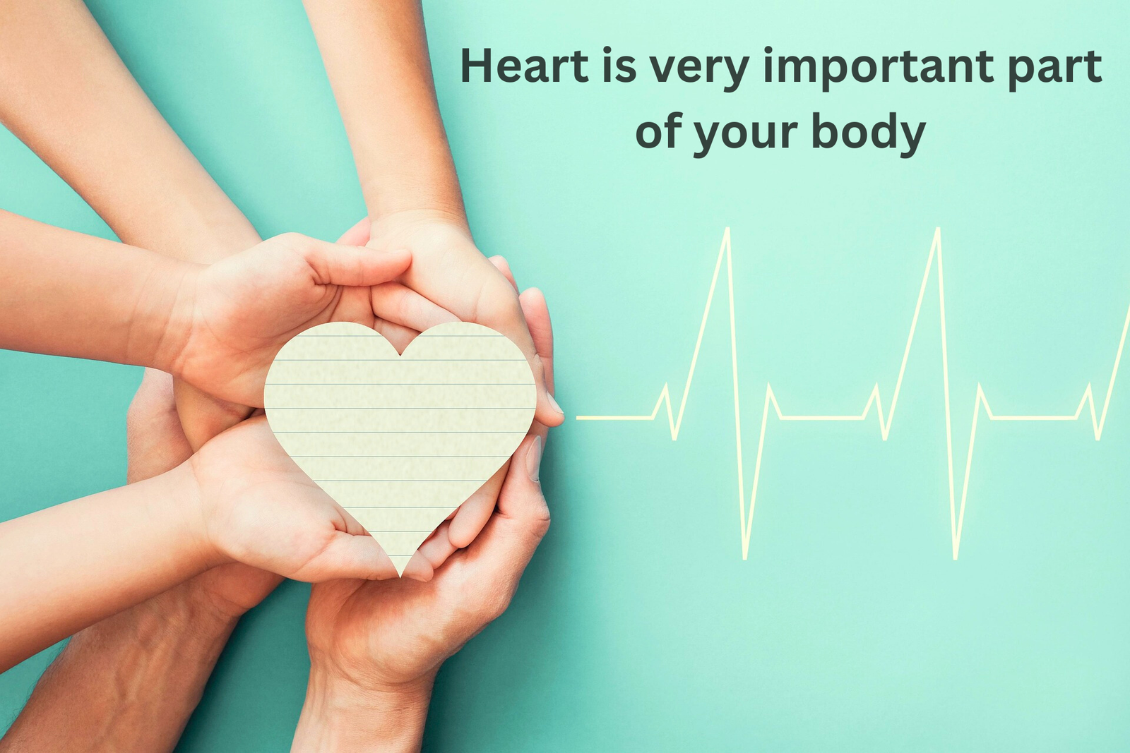health insurance